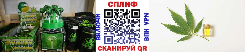 mega как зайти  Грязовец  Cannafood марихуана 