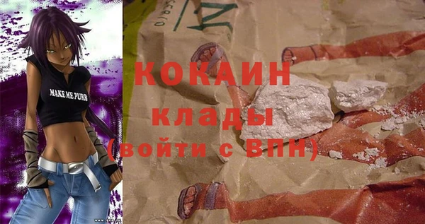 соль ск Алексин