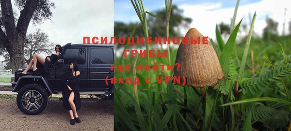 бошки Алексеевка