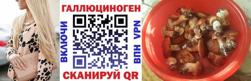 ОМГ ОМГ зеркало  Грязовец  Псилоцибиновые грибы прущие грибы 